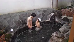 【森沢かな#辻井ほのか】大きなおっぱいにドキドキしちゃう旅行!