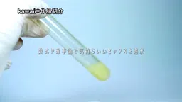 【涼音るい】完璧主義の大学院生がエロい本能に溺れる日々!